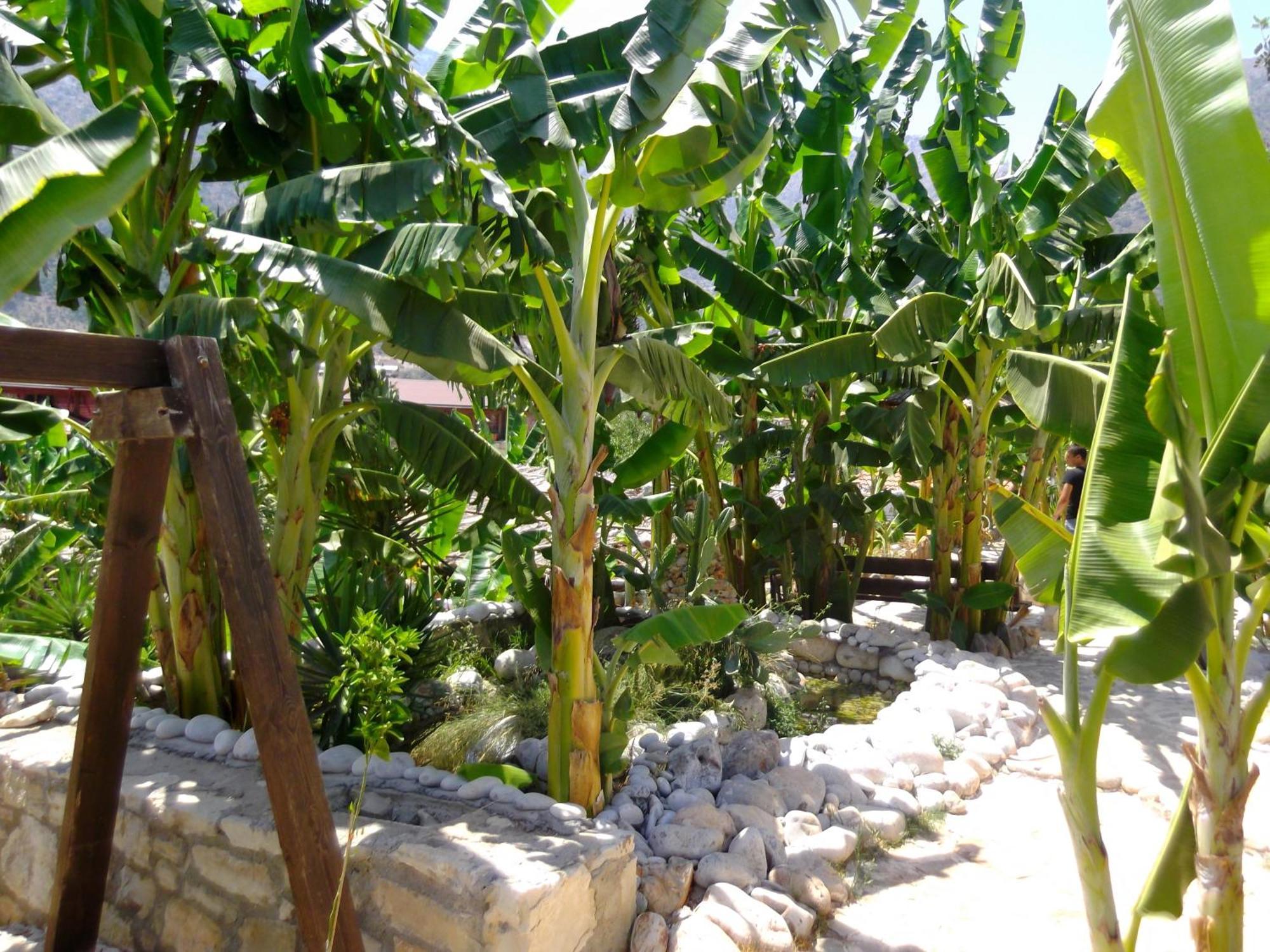 Stone Village Hotel Apartments Bali  Dış mekan fotoğraf